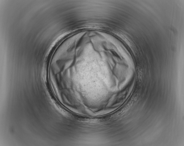 X0000112921131200909141307