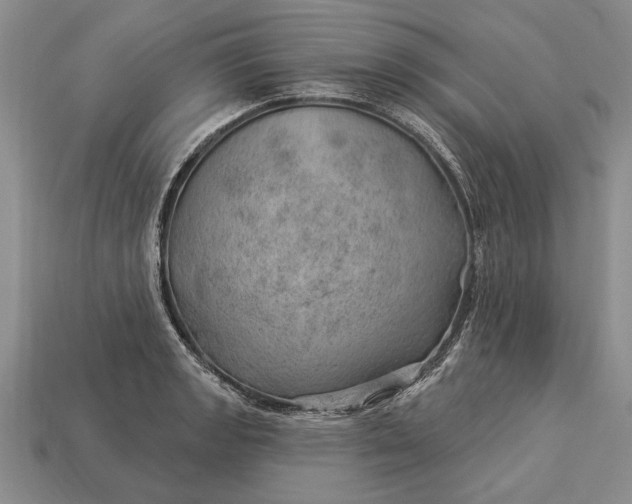 X0000112921133200909141307