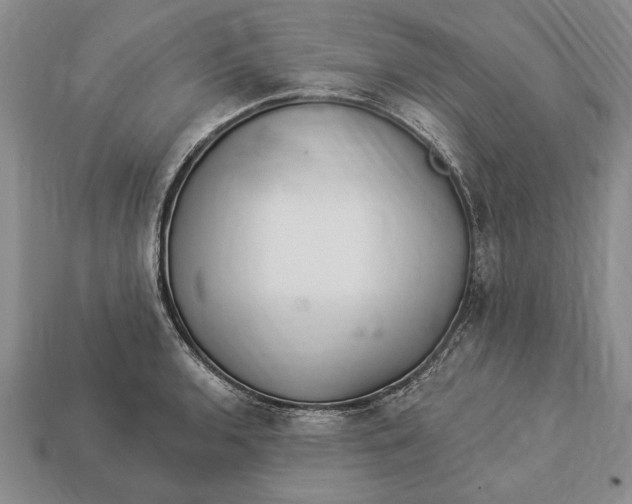 X0000112921136200909141307