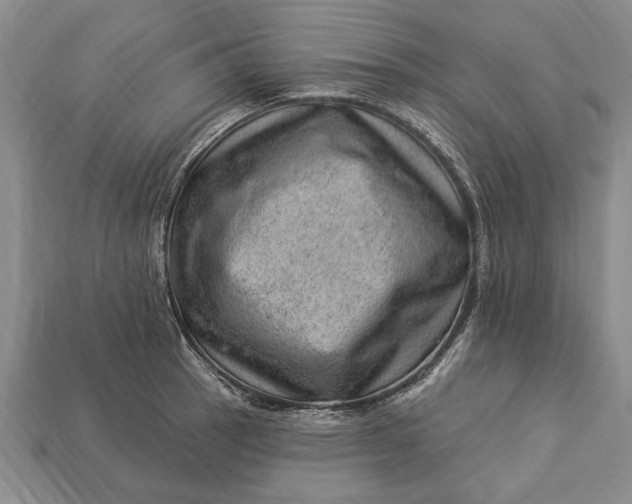 X0000112921137200909141307