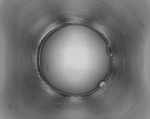 X0000112921138200909141307