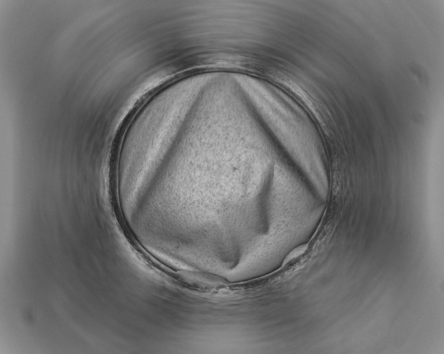 X0000112921139200909141307