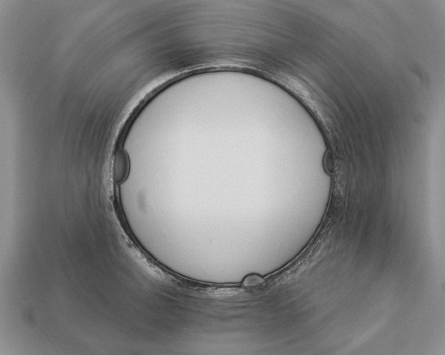 X0000112921140200909141307
