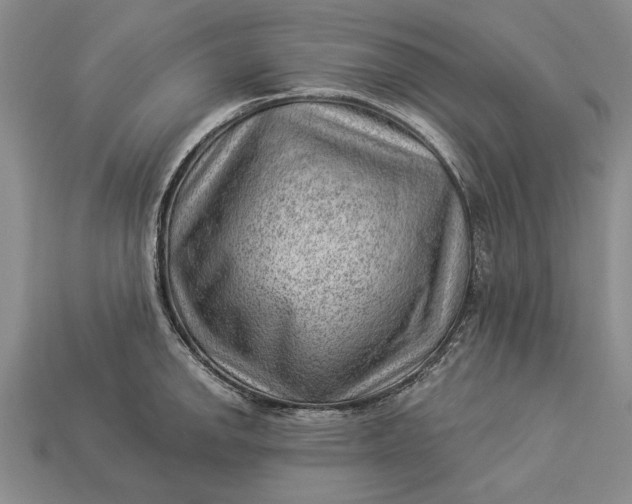 X0000112921142200909141307