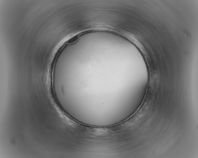X0000112921144200909141307