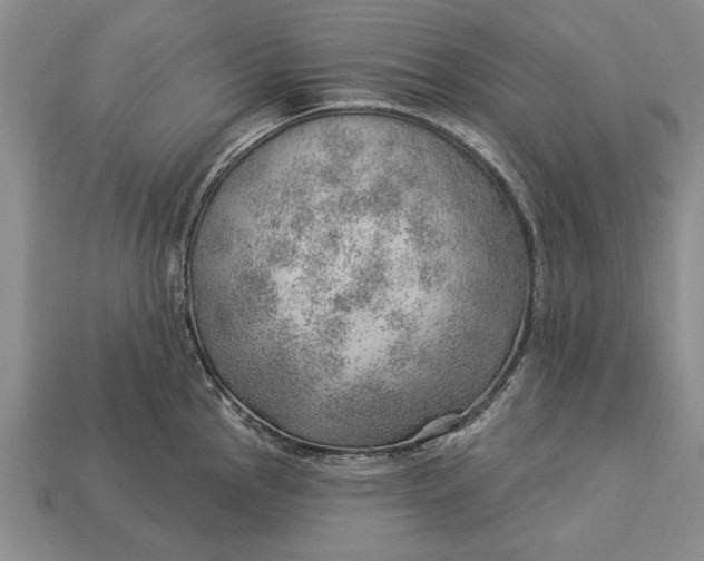 X0000112921145200909141307