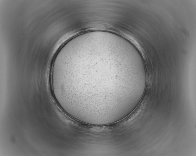 X0000112921146200909141307