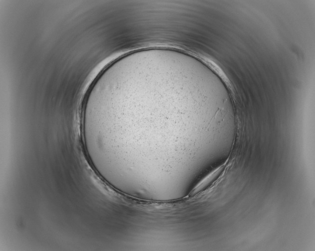X0000112921148200909141307