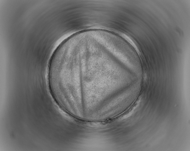X0000112921149200909141307