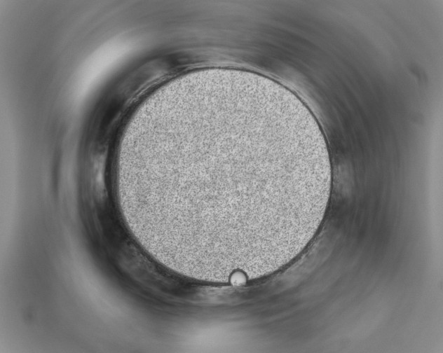 X0000112921150200909141307