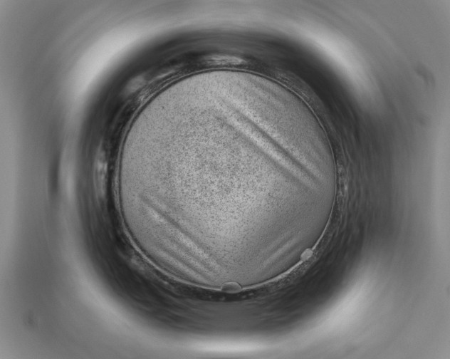 X0000112921151200909141307