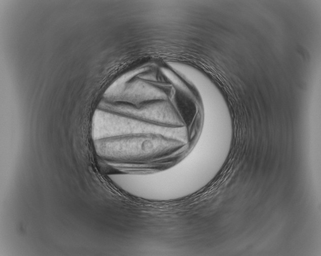 X0000112921153200909141307