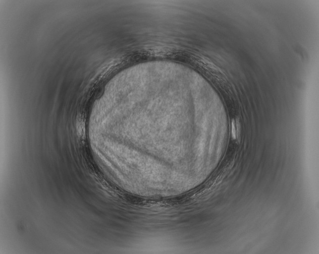 X0000112921155200909141307