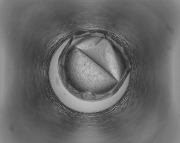 X0000112921157200909141307