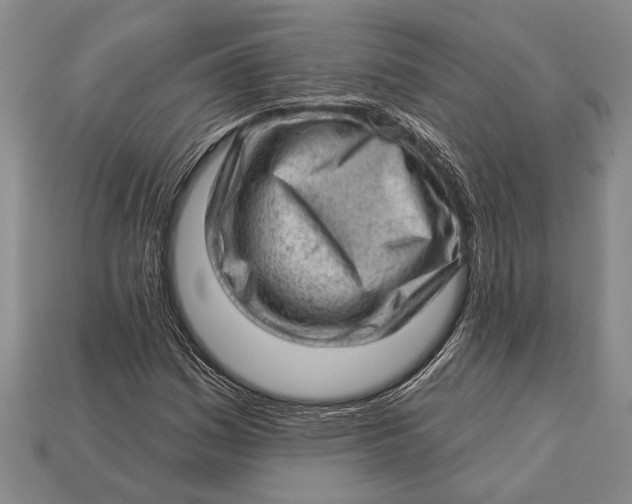 X0000112921161200909141307