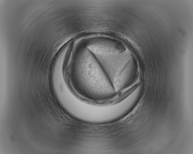 X0000112921162200909141307