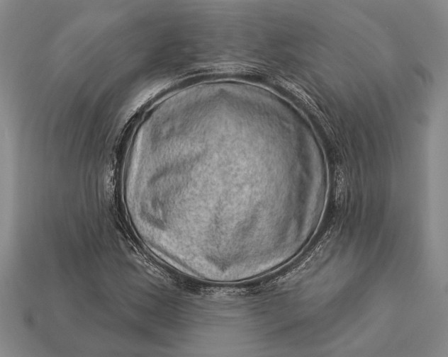 X0000112921163200909141307