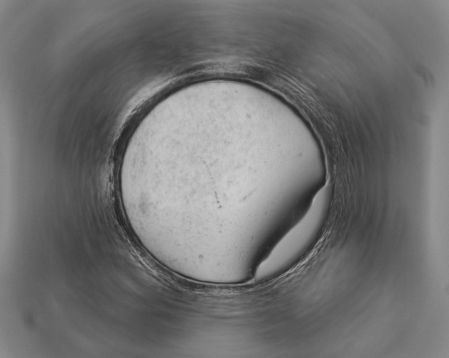 X0000112921164200909141307