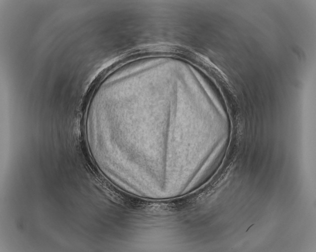 X0000112921166200909141307