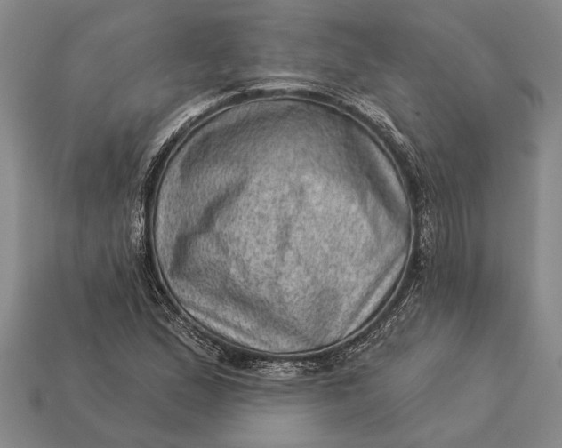 X0000112921167200909141307