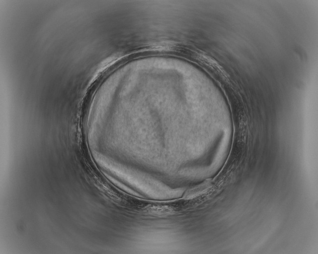 X0000112921168200909141307