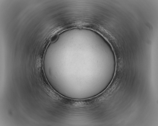 X0000112921169200909141307