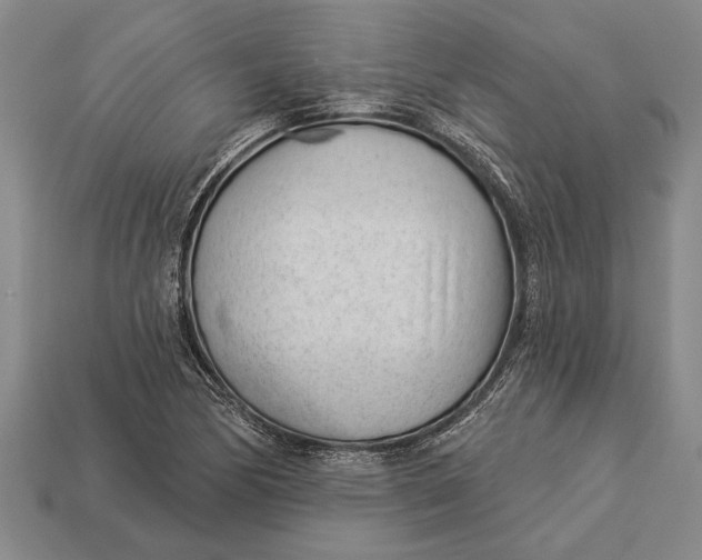 X0000112921170200909141307