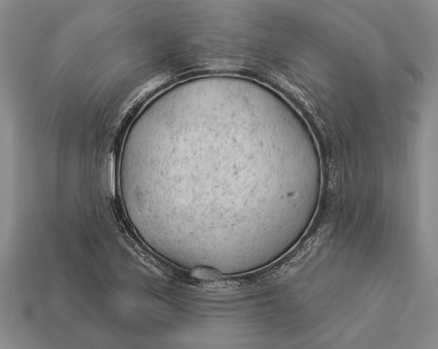 X0000112921171200909141307