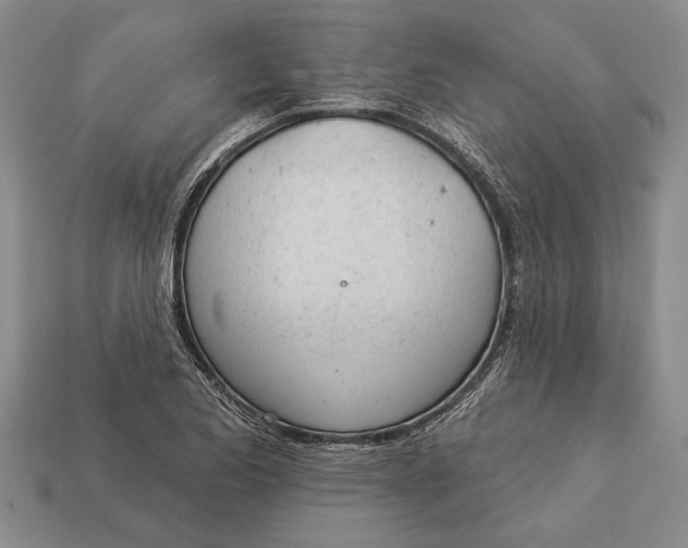 X0000112921173200909141306