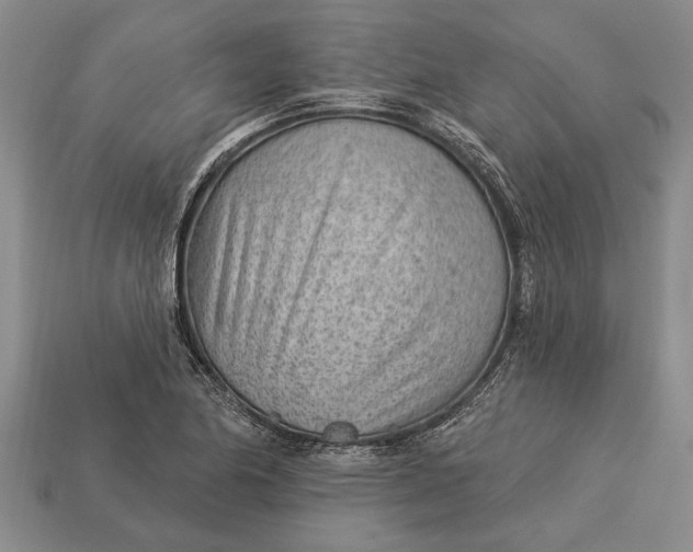 X0000112921174200909141306