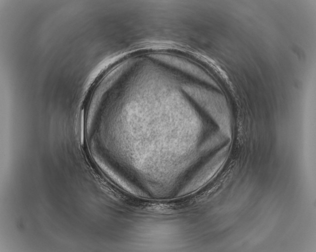 X0000112921175200909141306