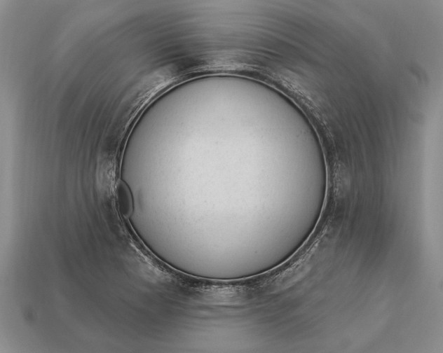 X0000112921177200909141306