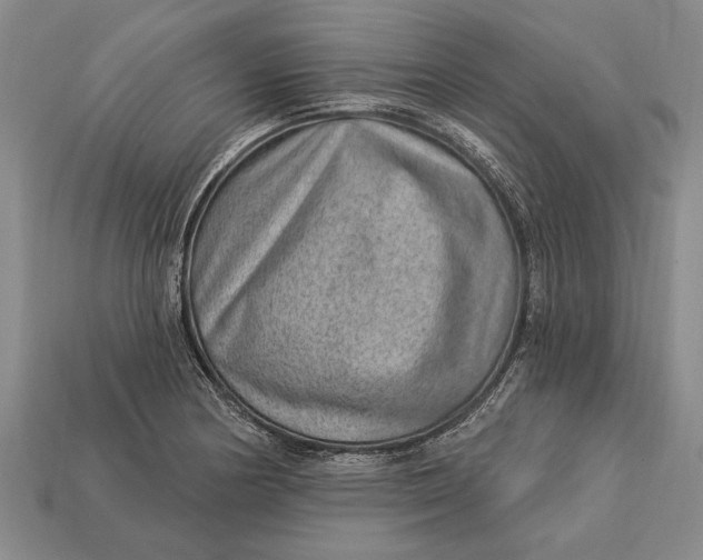 X0000112921178200909141306