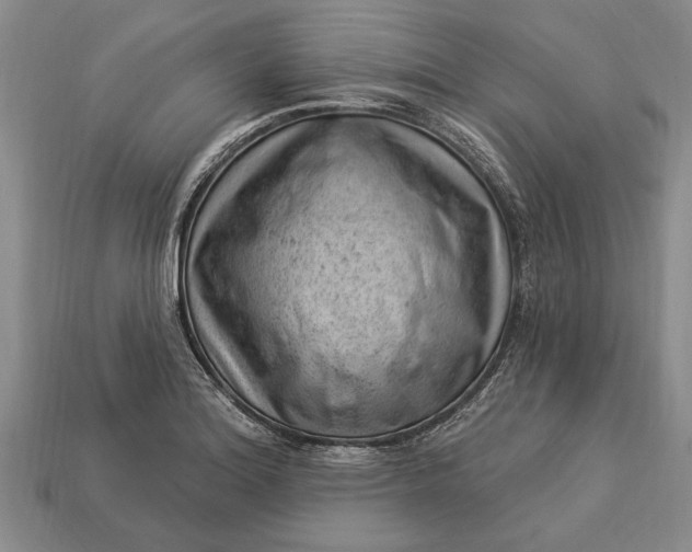 X0000112921180200909141306
