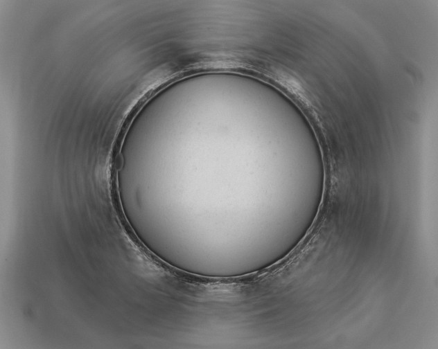 X0000112921181200909141306