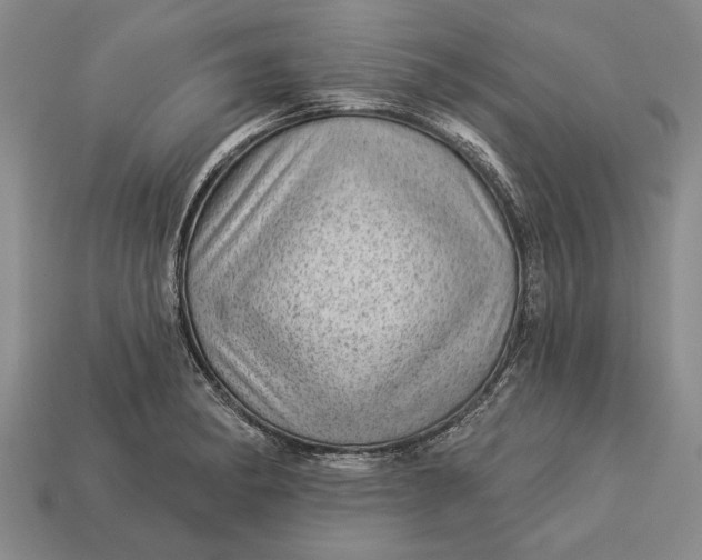 X0000112921182200909141306