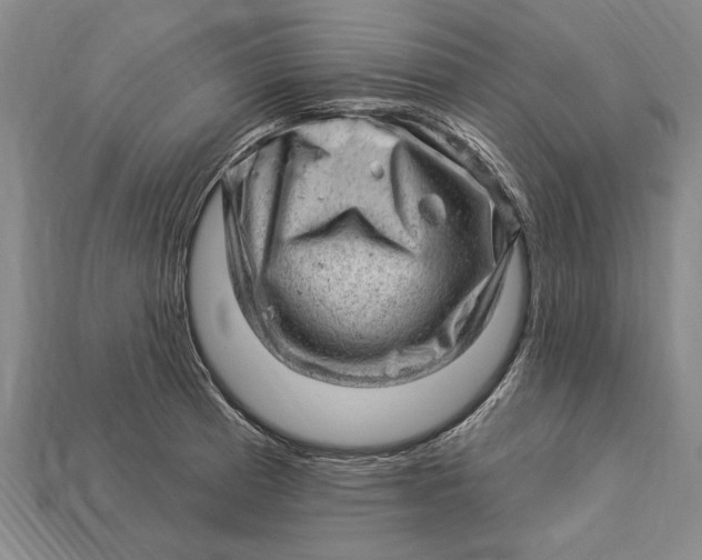 X0000112921185200909141306