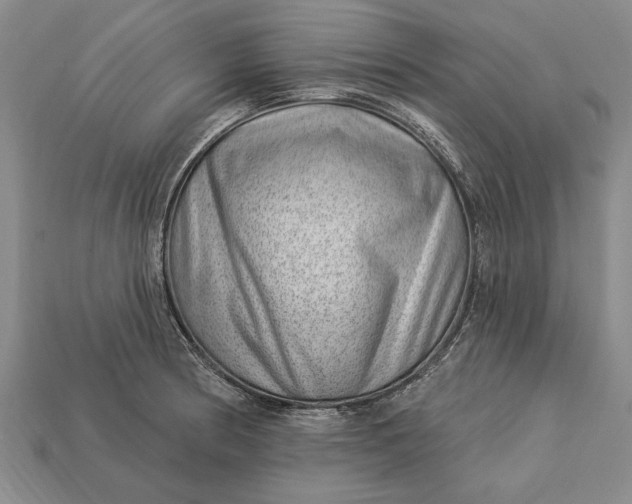 X0000112921186200909141306