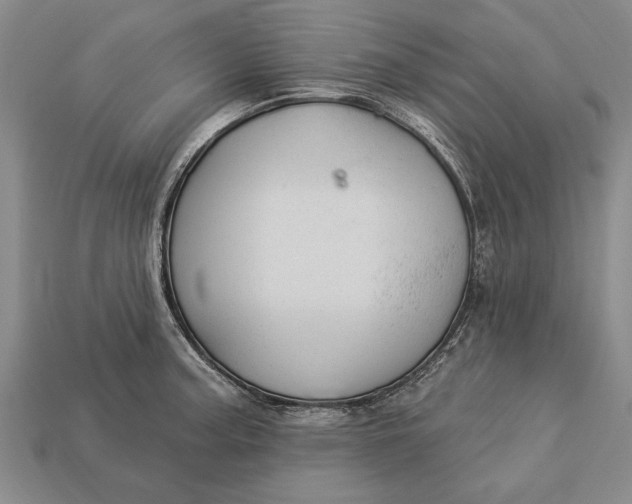 X0000112921187200909141306