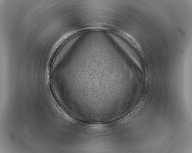 X0000112921188200909141306