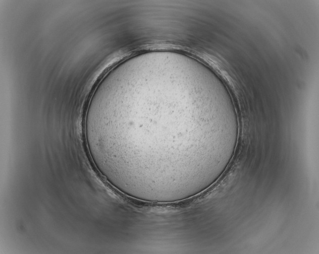 X0000112921189200909141306