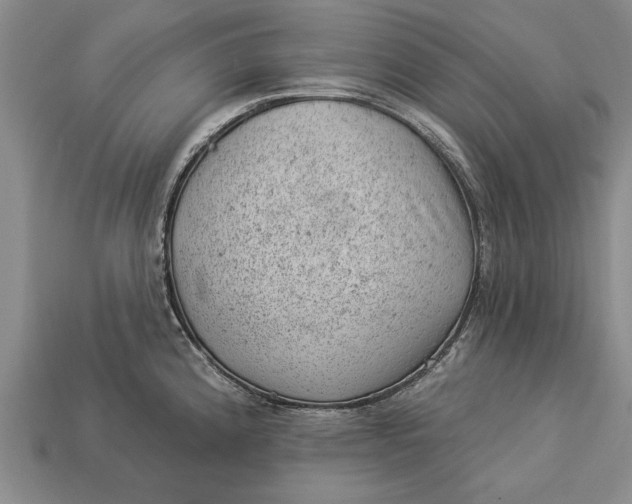 X0000112921192200909141306