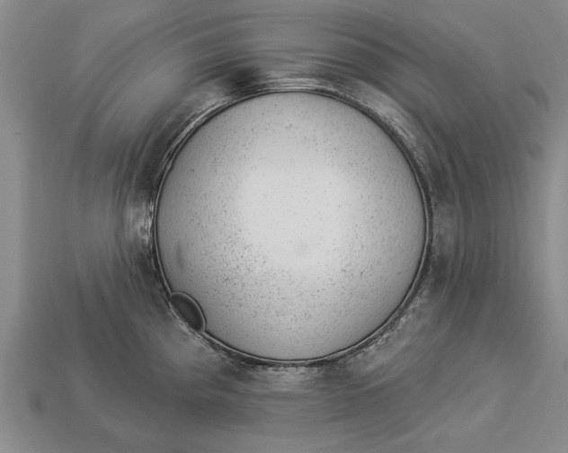 X0000112921193200909141306