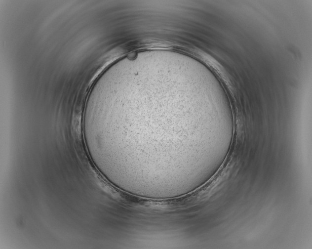 X0000112921194200909141306