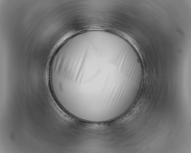 X0000112921195200909141306