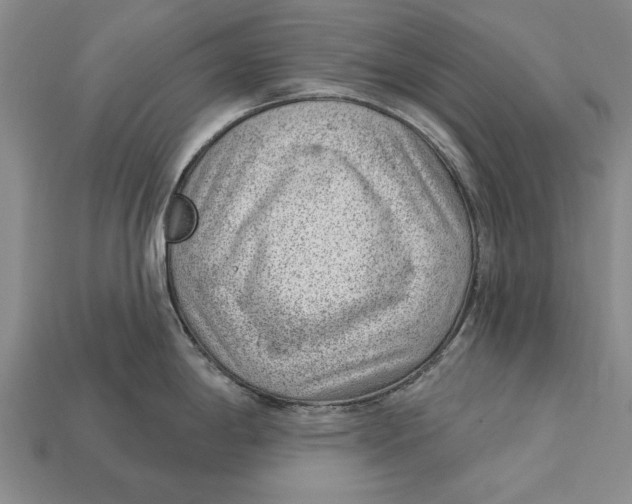 X0000112921198200909141306