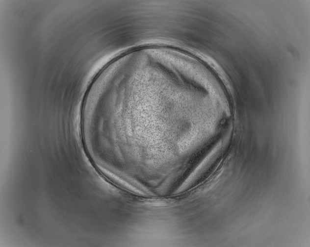 X0000112921199200909141306