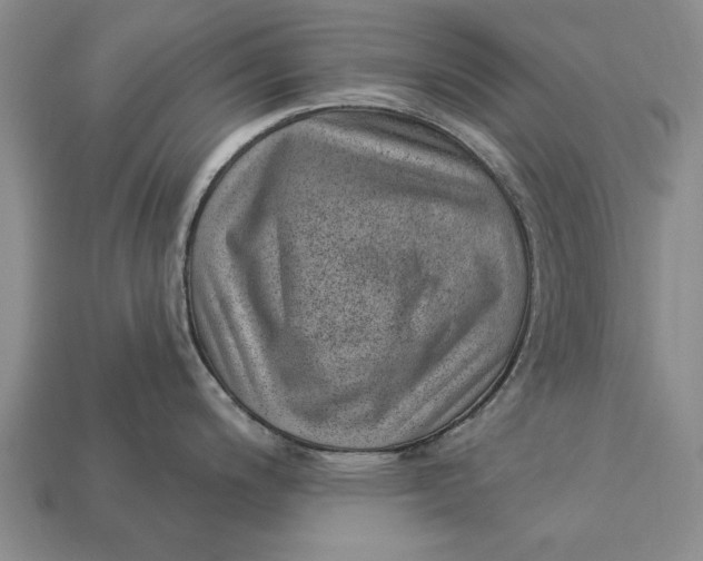 X0000112921200200909141306