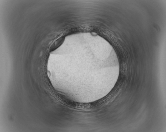 X0000112921201200909141305