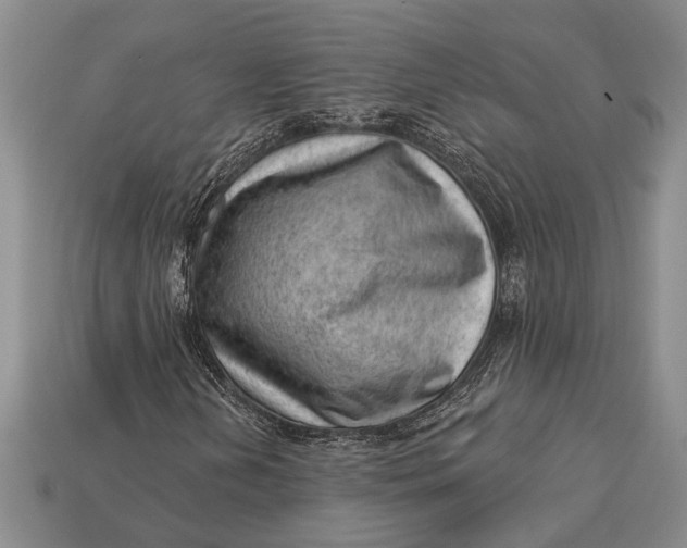 X0000112921202200909141305
